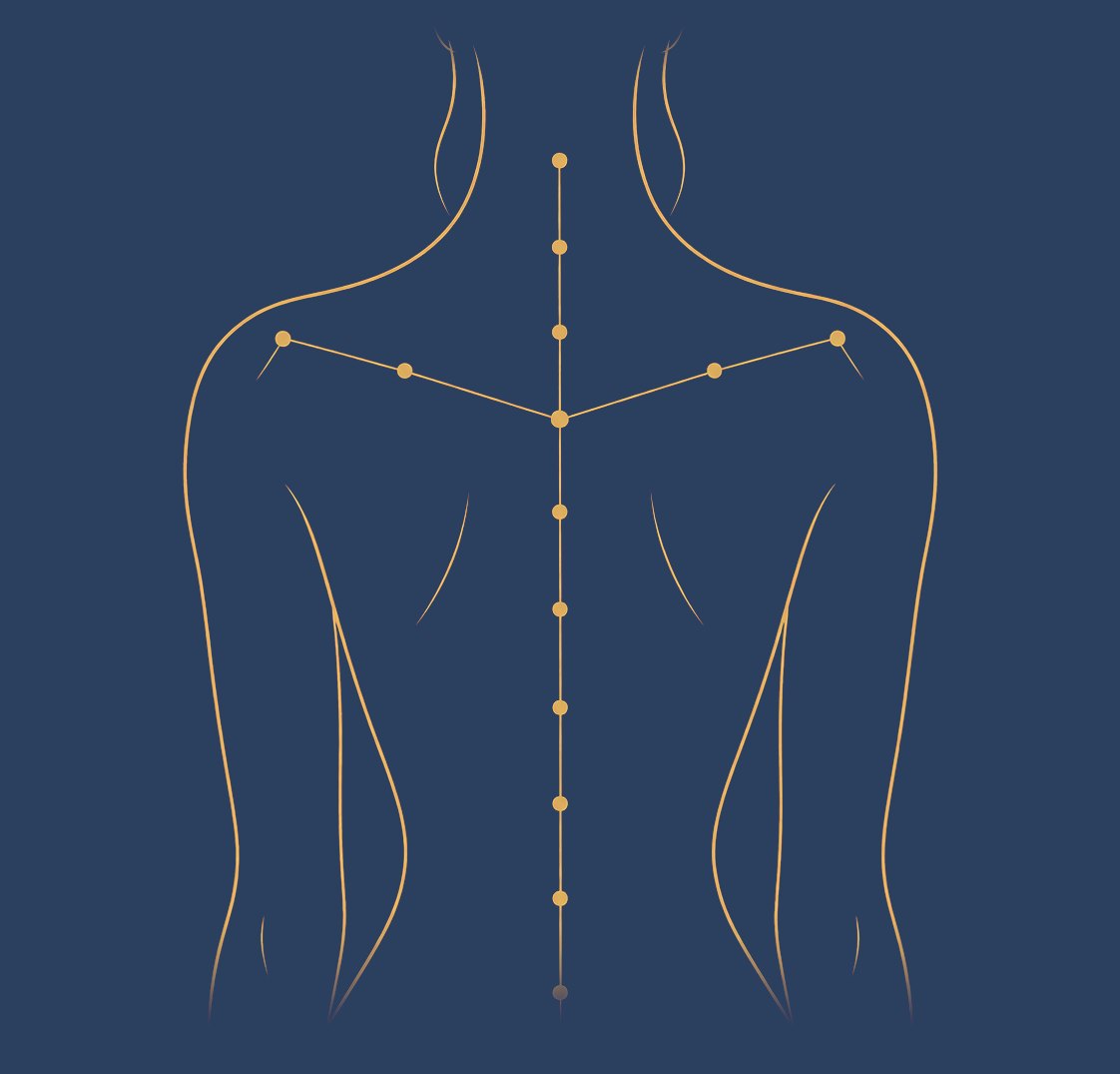 A back drawn in a gold line on slate blue. Along the spine and shoulders, points linked like a constellation.
